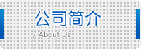 公司简介